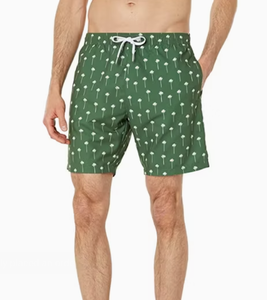 Short de bain pour hommes, imprimé pissenlit vert, taille avec cordon de serrage, séchage rapide, vêtements de bain décontractés, longueur courte, en polyester - Product Image 1