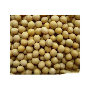 Haricots de soja jaunes riches en protéines / Haricots de soja non OGM du Brésil / Haricots de soja OGM riches en protéines brutes au meilleur prix - Product Image 3