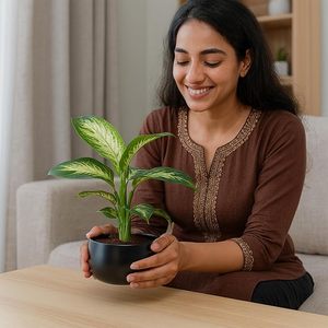 Minimalist Black Stainless Steel Indoor <b>Table</b> Top Planter for <b>Plants</b> & Flowers Wholesale Bulk Living Room Office Decoration Pot - Product Image 5