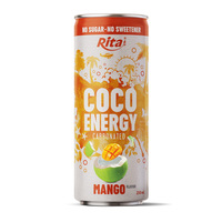 Boisson au cola Rita Date, extrait naturel de dattes, boisson gazeuse, boisson pétillante, canette de 330 ml, vente en gros, OEM, ODM