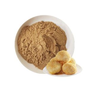 Extracto de Melena de León de Calidad Superior 50% Grado Alimenticio, Extracto de Melena de León de Malla Fina de Calidad Premium, Proveedor a Granel de la India - Product Image 1