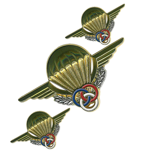 Badge en émail personnalisé avec des ailes et des anneaux, design circulaire en métal, attache à épingle de sécurité sans nickel - Product Image 1