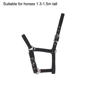 Adjustable Nylon Webbing Equestrian Western Horse Halter <b>Halters</b> Black XS S M L XL Ergonomic Comfortable Horse Riding Wear - Product Image 4