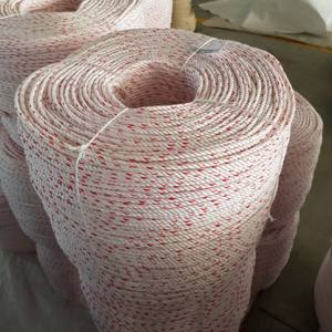 Cuerda danline PP al mejor precio hecha en Vietnam, cuerda trenzada Pp, cuerda PP de 3 hebras, cuerda trenzada PP, cuerda multifilamento PP - Product Image 3