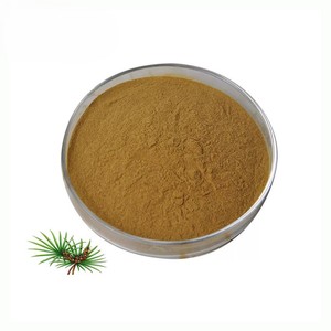 Superior Quality 100% Natural <b>Saw</b> Palmetto Powder Pure Food Grade Dried <b>Saw</b> Palmetto Powder Rich in Antioxidants and Minerals - Product Image 6