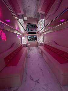 EXCELENTE OPORTUNIDAD DE NEGOCIO – FABRICACIÓN DE AUTOBUSES MÓVILES PARA FESTIVALES SPA PARA TODOS - Product Image 2