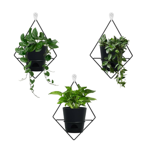Pot suspendu en métal luxueux, design carré, noir, à fixer au mur, pour plantes vertes d'intérieur, pot décoratif pour fleurs - Product Image 1