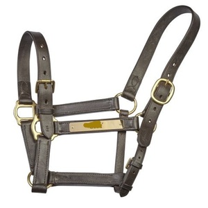 OEM Best Quality Brown Padded Leather Horse <b>Halter</b> with Personalized Brass Name Plate and Hardware <b>Halter</b> Horse - Product Image 4