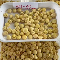 Venta al por mayor de champiñones salados deliciosos enlatados en bidones, champiñones enteros frescos conservados, champiñones blancos.