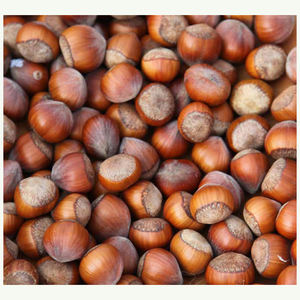 Avellanas de sabor natural, cultivadas de forma orgánica, con cáscara y sin cáscara, listas para el mercado. - Product Image 3