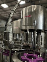 Machine de rinçage, remplissage et bouchage automatique électrique 200 Bpm pour bouteilles d'eau pure 200 ml et 1 L, contrôlée par PLC, haute productivité