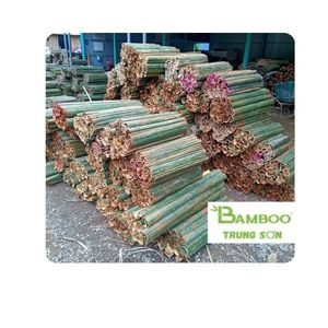 Bambou Trung Son Gem Le : Lames de bambou modernes de haute qualité de 36 pouces pour la fabrication de cerfs-volants et les travaux artisanaux à Thanh Hoa - Product Image 1