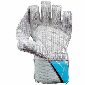 Gants de gardien de cricket en polyéthylène flexible avec inserts, équipement de sécurité ultra-léger pour gardien, protection en fibre pour le cricket - Product Image 3