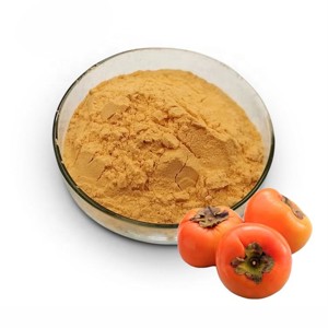 Extracto de Fruta de Caqui 100% Puro y Natural OEM 10:1, Polvo de Diospyros kaki de Calidad Premium para Alimentos Funcionales y Mezclas de Proteínas - Product Image 1