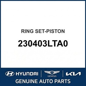 Nouveaux pistons et segments G70 230403LTA0 - Product Image 1