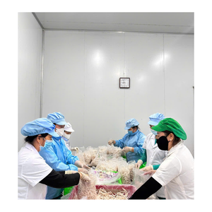 Taro surgelé en vrac pour les importateurs et distributeurs de produits alimentaires - Product Image 5