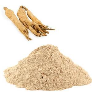 Polvo de Raíz de Ginseng Panax de Alta Calidad, Potenciador de Energía Herbal en Polvo para Cápsulas, Tabletas y Formulaciones para la Salud, Venta al Por Mayor OEM - Product Image 3