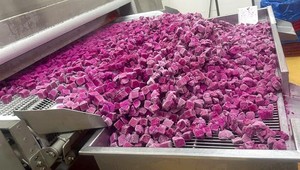 99 GOLD DATA Demi-dragons fruités surgelés IQF, emballage sous vide, en vrac, fruits tropicaux premium du Vietnam, conservation à -18°C, 24 mois - Product Image 6