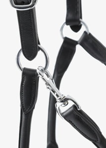 High Quality English Leather Rolled Anatomic Leather Head Collar Anatomic Halter Raised Stainless Steel Buckles Fancy Design - Product Image 2