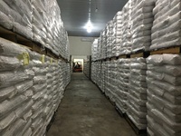 Voedzame Macadamianoten Met Schaal Of Pitten Concurrerende Prijs Van Betrouwbare Vietnam-Leverancier 84 326055616
