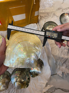 Pearl Of Mother Shell Natural Vietnam Material For Jewelry Inlay Decorative Crafts Furniture Veneer Plate Wholesale Supply - Product Image 3