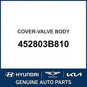 Elantra Nuevo, Otras Piezas y Accesorios para Autos y Camionetas 452803B810 - Product Image 1