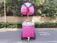 Chariot de vente de crème glacée vintage classique, portable, à pousser à la main, populaire pour les terrains de jeux commerciaux et les rues