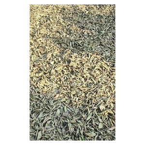 Hojas de Guayaba Secas de Primera Calidad, Proveedor Mayorista de Té de Hierbas, Directo de Fábrica, 24 Meses de Vida Útil, Proveedor de Vietnam - Product Image 6