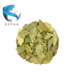 Hoja de datos del producto: Té de hoja de guanábana cruda, hojas secas premium, té herbario natural de guanábana, bebidas saludables, exportación a granel de guanábana - Product Image 1