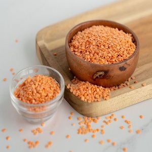 Lentilles Rouges Biologiques de Haute Qualité Adana 10kg Sous Vide Durée de Conservation 24 Mois Livraison Rapide Meilleur Prix Stock en Gros Séchées - Product Image 1