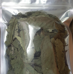 Hoja de Guayaba Seca Natural, Cosechada en Vietnam, Apta para Infusiones Concentradas y Aplicaciones Culinarias Distintivas - Product Image 6