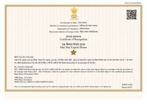 Carreaux muraux intérieurs modernes de qualité supérieure, résistants aux acides et antidérapants, 300x600mm, choix premium, qualité supérieure, carreaux d'Asie. - Product Image 6