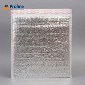 Sac isotherme chaud et froid 24 heures, écologique, recyclable, en mousse EPE, pour l'expédition de nourriture, imperméable, durable, avec fermeture éclair - Product Image 3