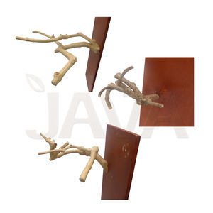Perchoir pour oiseaux en bois de café naturel Javawoood, écologique, durable, de haute qualité, à plusieurs branches, en provenance d'Indonésie, taille S - Product Image 4