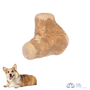 Bâtonnets à mâcher pour chiens au lotus bleu, les plus vendus, en noix de coco, durables, écologiques, jouet pour animaux de compagnie, pour chiens et chats, pour la dentition et les soins dentaires, vente en gros - Product Image 1