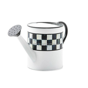 Arrosoir galvanisé compact avec poignée facile à saisir et construction anti-fuite utilisé dans la boîte de fenêtre et l'arrosage des herbes intérieures - Product Image 1