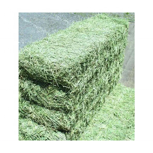 Heno de Alfalfa para alimentación Animal, alta calidad - Product Image 1