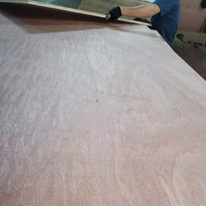 ไม้อัดเชิงพาณิชย์ FOMEX ไม้เบิร์ช หนา 5-24 มม. เกรดเอ คุณภาพสูง ระดับการปล่อยมลพิษ E1 ขนาด 4x8 ฟุต เคลือบผิวสองด้าน สำหรับใช้งานภายในอาคาร - Product Image 6