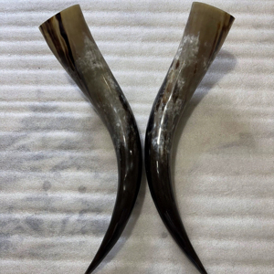 Paire de cornes de bison polies, décoration murale, design Art Déco, grande taille de 27 à 35 pouces, pour mariage, anniversaire - Product Image 1