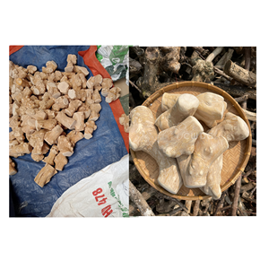 Jouet à mâcher en bois de café 2026 le plus vendu, bâton en bois dur durable pour les soins dentaires et le jeu interactif - Product Image 5