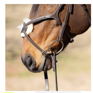 Brida de Cuero Profesional de Alta Calidad para Caballo, Transpirable, Modelo Personalizado 10124bl, Equipo Ecuestre para Montar a Caballo, Venta Caliente - Product Image 3
