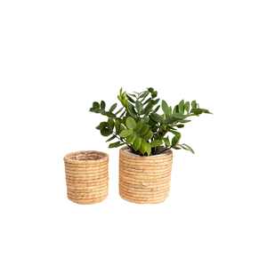 Pot de fleurs artisanal tendance en jacinthe d'eau, pot naturel durable pour une utilisation moderne à la maison et au jardin - Product Image 3