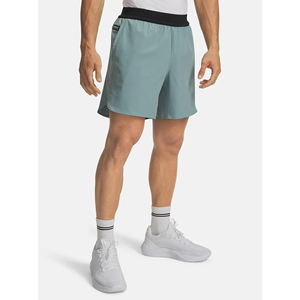 Shorts en mesh professionnels légers pour l'entraînement en salle de sport, fournisseur de vêtements de sport - Product Image 1
