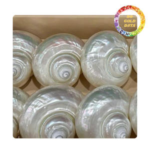 Natural Polished <b>Conch</b> Shell Napkin <b>Rings</b> Modern Luxury Wedding Coastal Seashell Bathroom Holder Eco-Friendly Durable for - Product Image 5