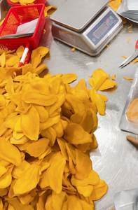 Best <b>Quality</b> Soft Dried Mango – <b>Sweet</b> Natural Mango Slices for Wholesale Export - Product Image 3