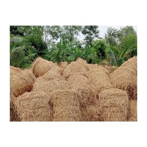 TENDANCES ACTUELLES Paille de riz pour la transformation pratique de fourrage et les supports de culture horticole - Livraison en rangée - Product Image 1