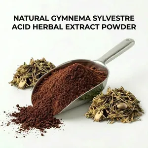 Extrait de Gymnema Sylvestre en poudre de haute qualité, 25 à 75 % d'acide gymnémique, favorise une glycémie saine, export en vrac d'Inde - Product Image 6