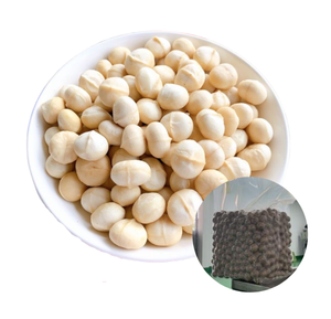 Oferta Especial: Nueces de Macadamia Tostadas y Partidas de Fabricante Vietnamita, Estándar Internacional, a Granel, en Varios Tamaños de Bolsa - Product Image 1