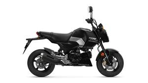 Motocicleta MSX125 de 125cc, Refrigerada por Aire, Divertida, Disponible Ahora, 2025 - Product Image 5