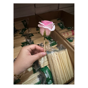 99 GOLD DATA Catarina Bamboo Reed <b>Sticks</b> 15-30cm Natural Strong Eco Friendly <b>Diffuser</b> <b>Sticks</b> - Product Image 2